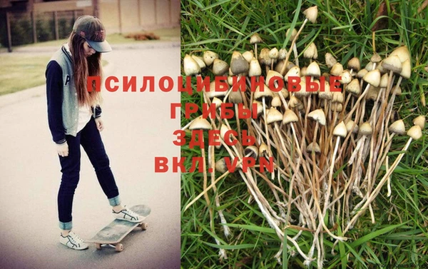 мефедрон Дмитров
