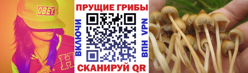 Галлюциногенные грибы мухоморы Починок