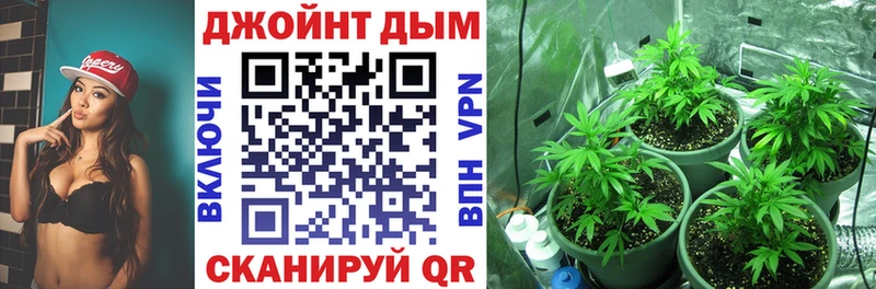 Купить закладки  Починок  Шишки марихуана план 